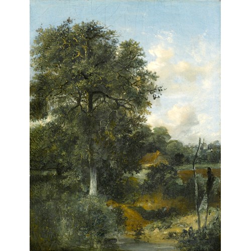A Wooded Landscape with an Oak 